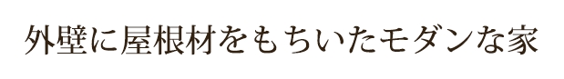 外壁に屋根材をもちいたモダンな家