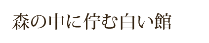 森の中に佇む白い館